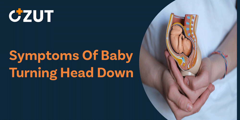 Understanding Your Baby’s Position Before Birth: Head Down and Ready for Delivery