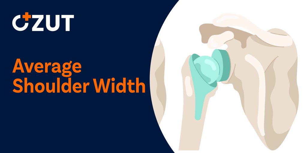 Understanding Human Shoulder Width: Measurements, Averages, and Methods