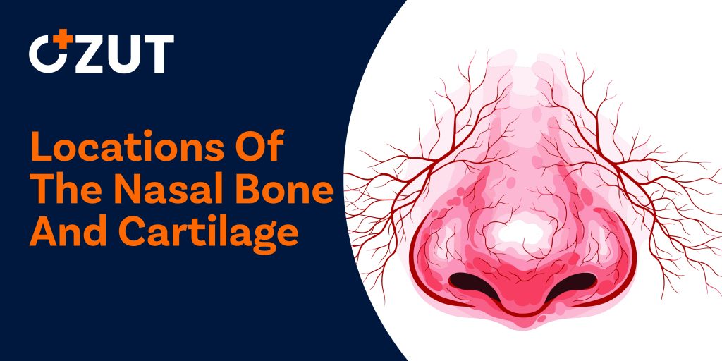 How Your Donation Powers Medical Innovation and Saves Lives