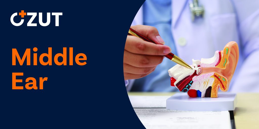 How Your Contribution Powers Medical Innovation and Saves Lives