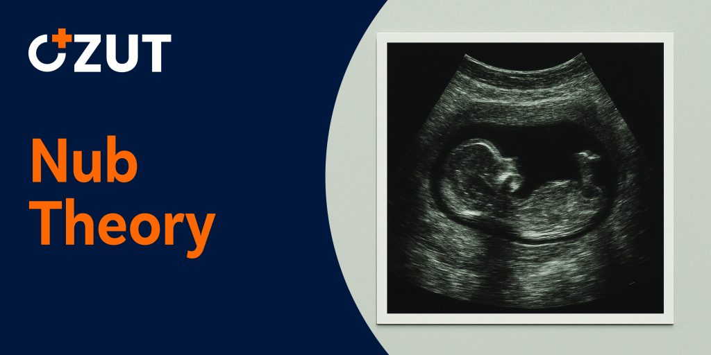 Understanding Early Fetal Development and Gender Prediction Methods