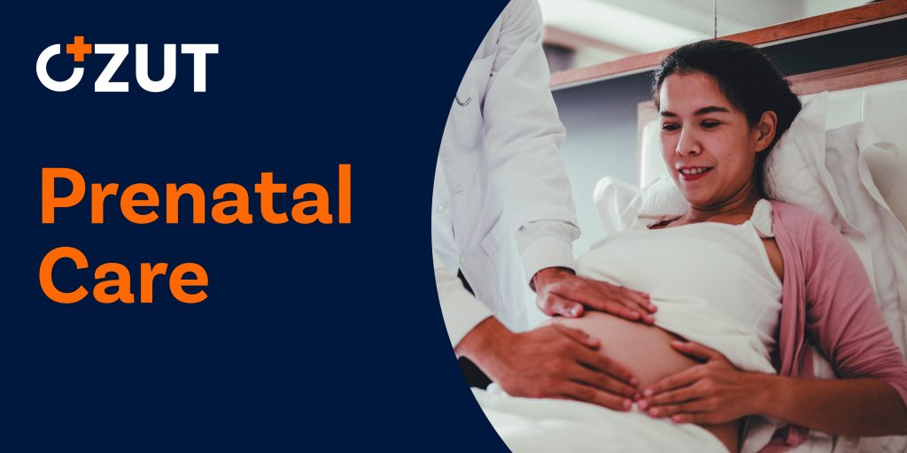 Understanding Early Pregnancy Development: A Complete Guide to the First Trimester