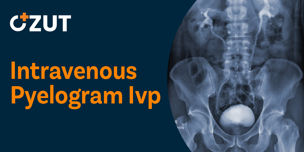 Understanding Urethral Opening Abnormalities: A Complete Medical Guide