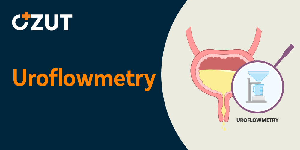 Understanding Urinary Flow Testing: A Complete Guide to Diagnostic Procedures