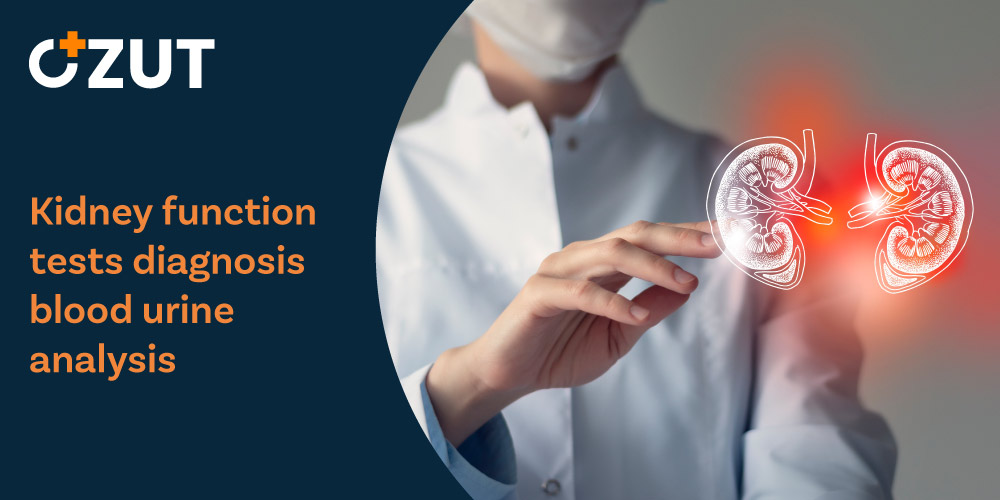 Comprehensive Guide to Kidney Function Tests: Understanding Diagnostic Methods and Procedures